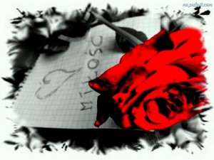 Czerwona róża z napisem Miłość